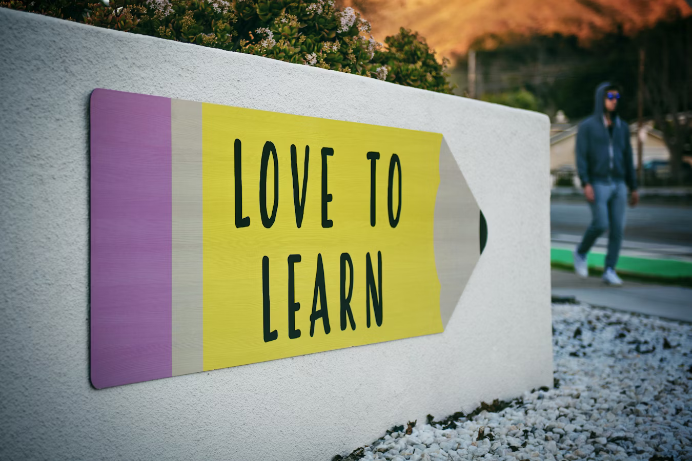 VidyaRise Online Learning Platform